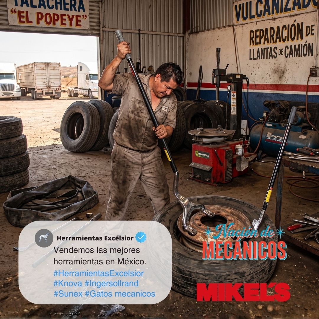 Juego de barras desmontadoras para llantas MIKELS JBD-100