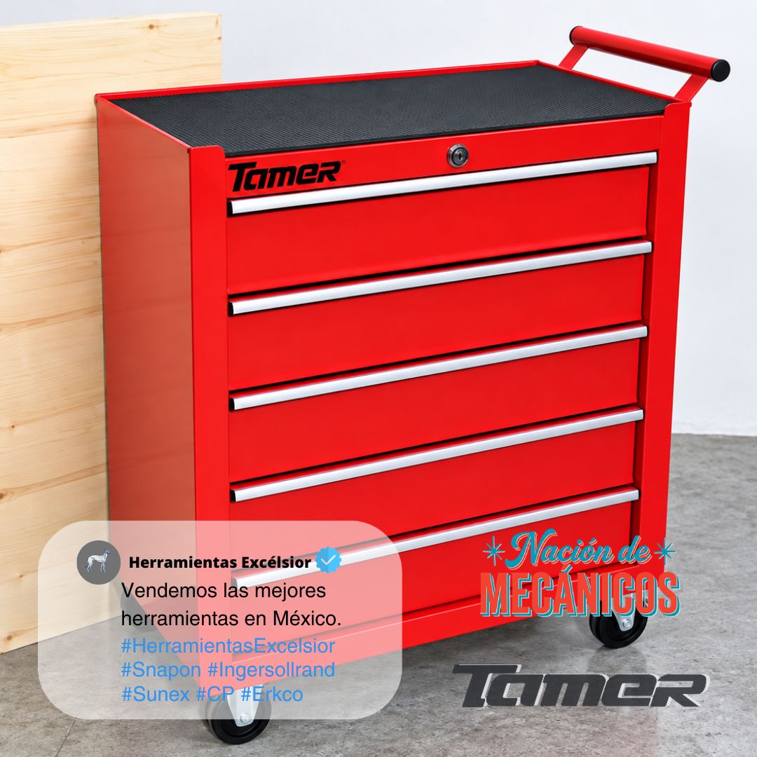 Gabinete para herramientas con 5 cajones TAMER